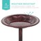 Best Choice Products Outdoor Rustic Pedestal Bird Bath Accent for Garden, Yard w/ Fleur-de-Lis Accents